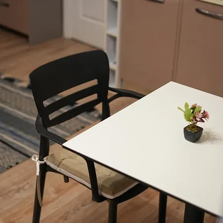 Near Center App 2 公寓 *